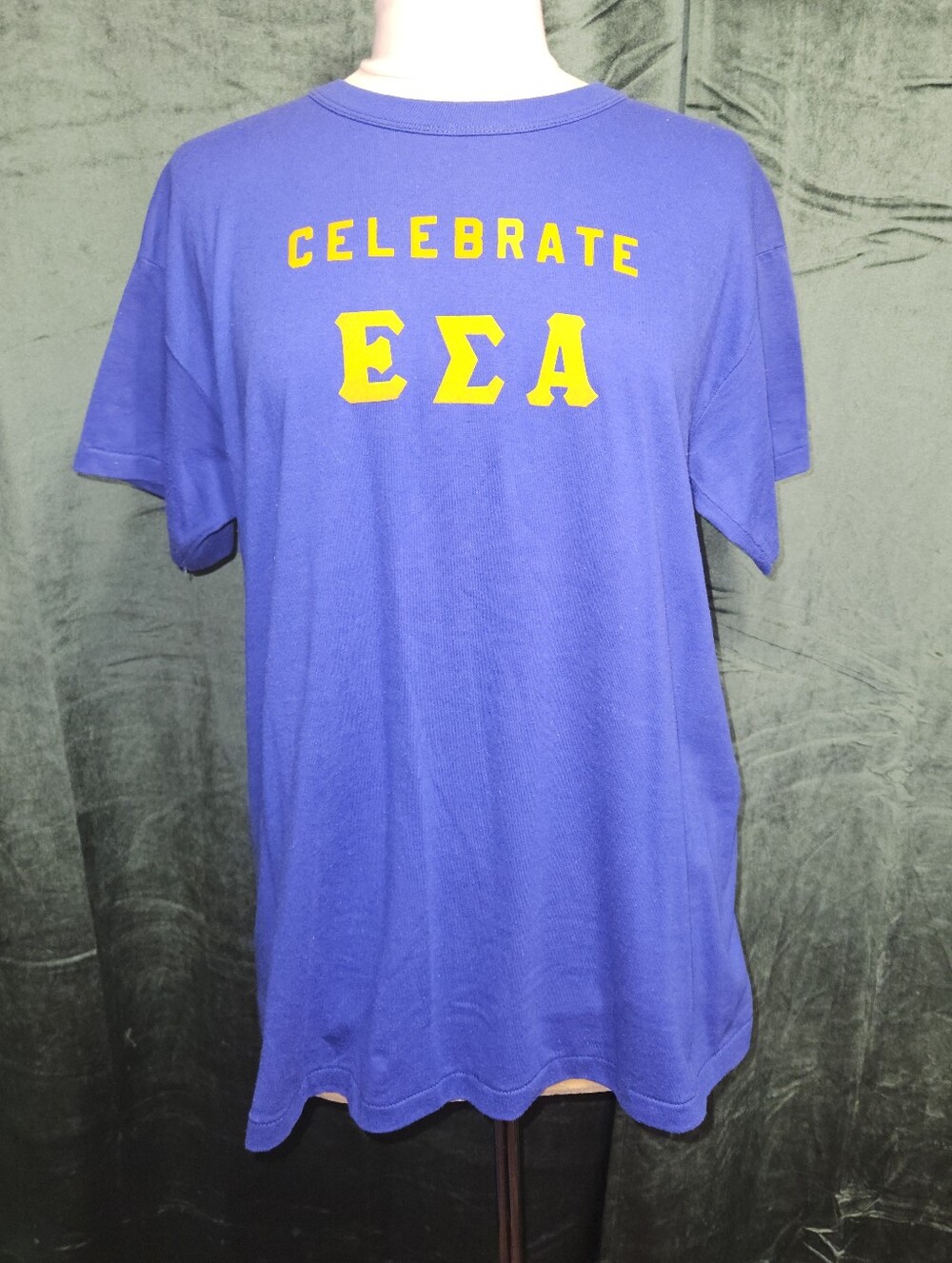 Vintage 80s Russell Athletic EΣA Sorority T Shirt Single Stitch